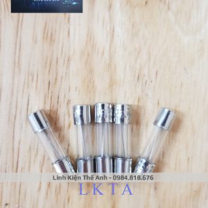 Cầu chì chân cài 20A ( 1 hộp = 100c )