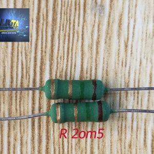 R2ohm5/3w  ( 10con )